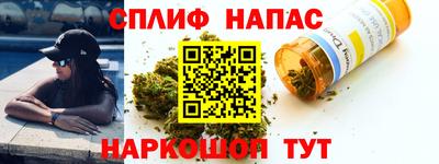 spice Брянск