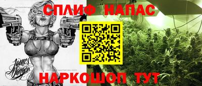 spice Брянск