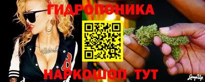 spice Брянск
