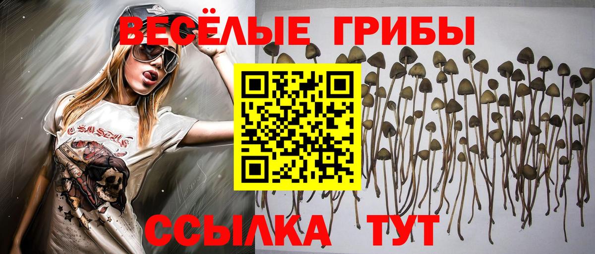 Улан-Удэ  Галлюциногенные грибы Psilocybine cubensis  Вход с VPN 